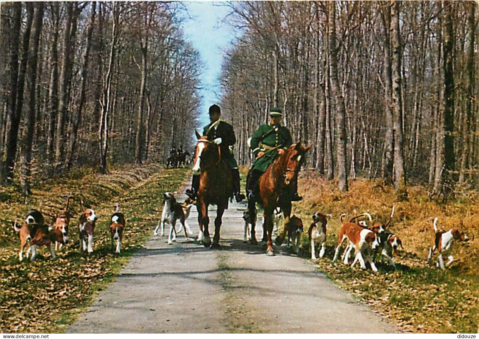 Animaux - Chevaux - Chasse à Courre - Chiens - Départ De La Meute - CPM - Voir Scans Recto-Verso - Chevaux