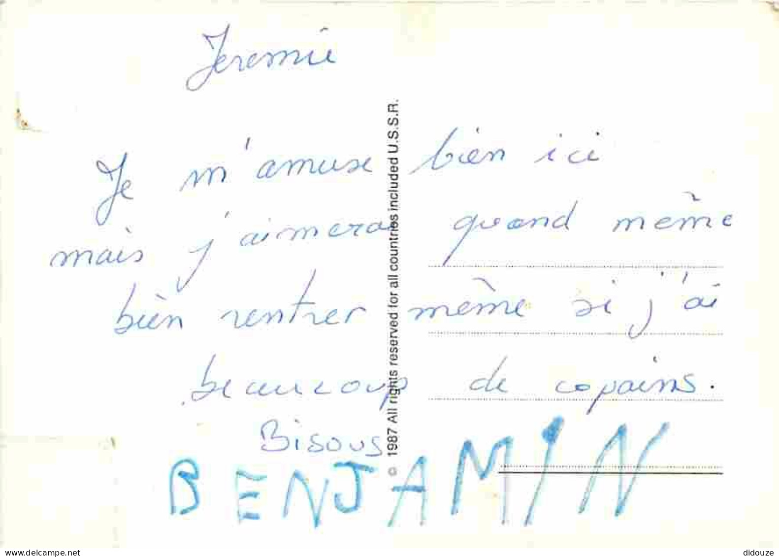 Animaux - Chevaux - Dessin De Bernadette Voz - CPM - Voir Scans Recto-Verso - Chevaux