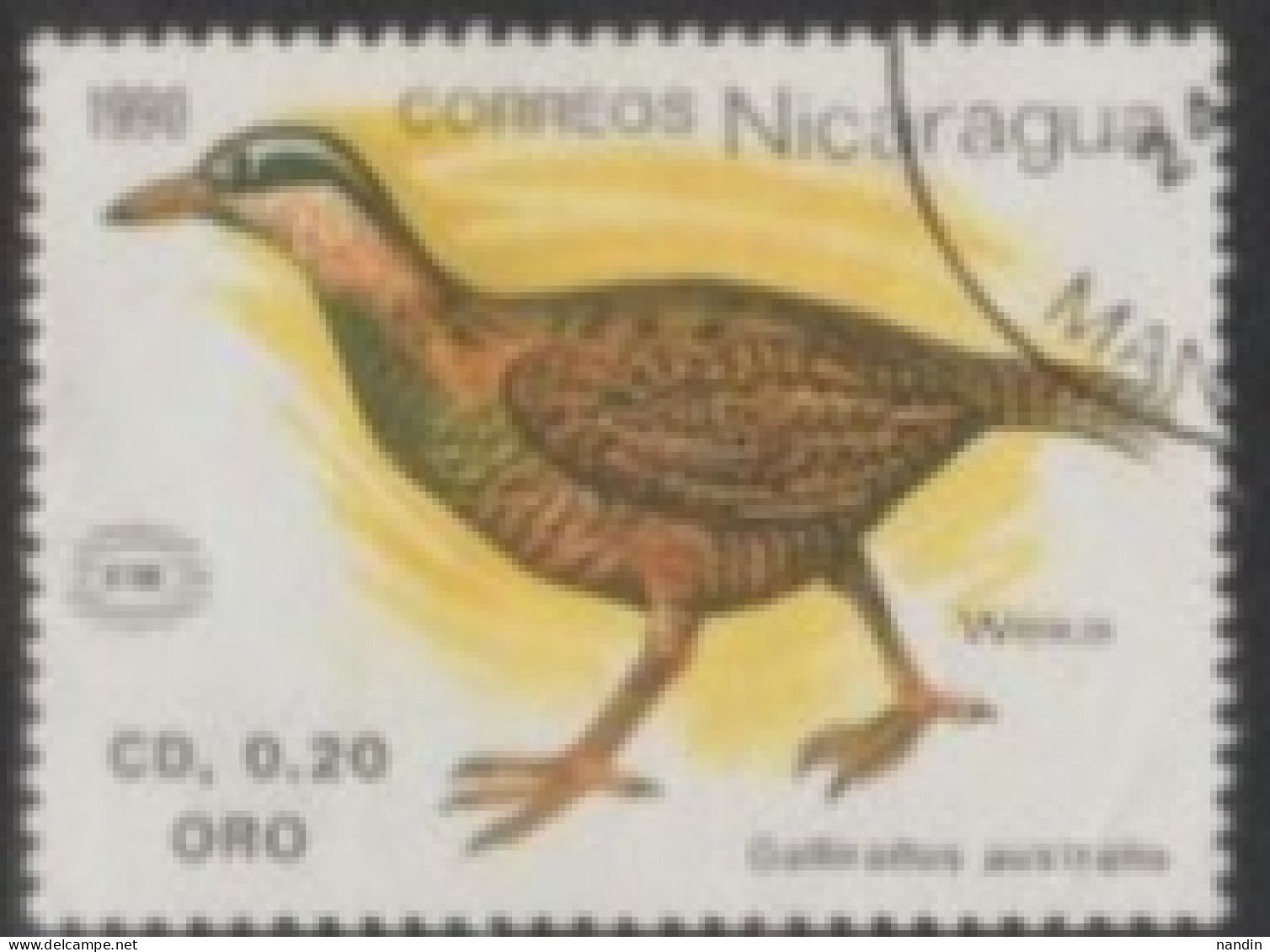 1990 NICARAGUA USED STAMP ON BIRDS/Gallirallus Australis-Genus Of Rails/Int. Stamp Exhibition "NEW ZEALAND '90" BIRD - Colibrì