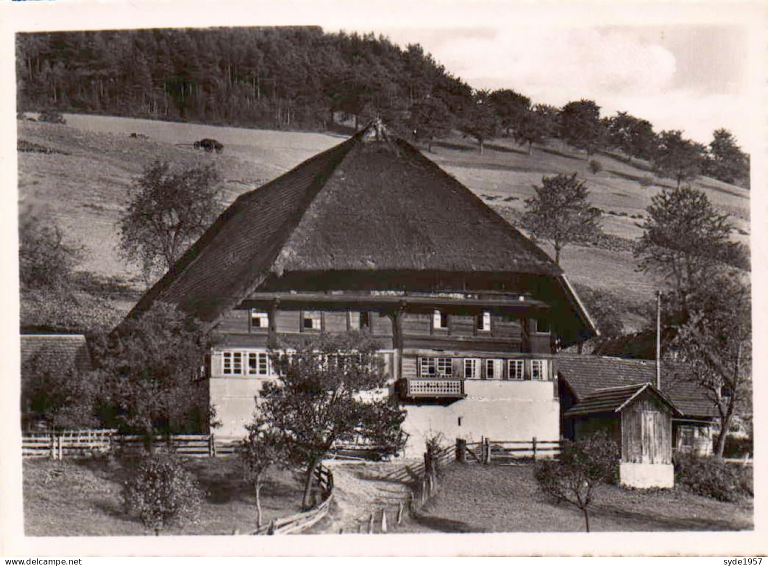 12 Echte photographien von TRIBERG (reizende Aandenken) - photo ayant servi à des cartes postales -Verslag J. Schäfer,