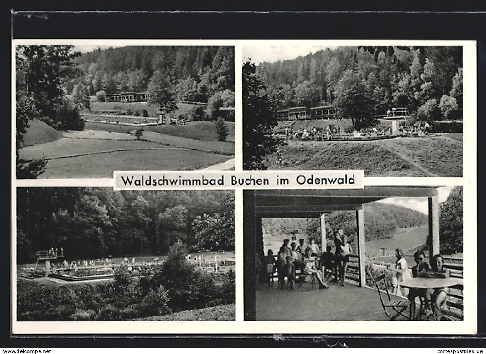 AK Buchen Im Odenwald, Blick Auf Das Waldschwimmbad, Das Freibad, Auf Der Terrasse, Der Sprungturm  - Buchen