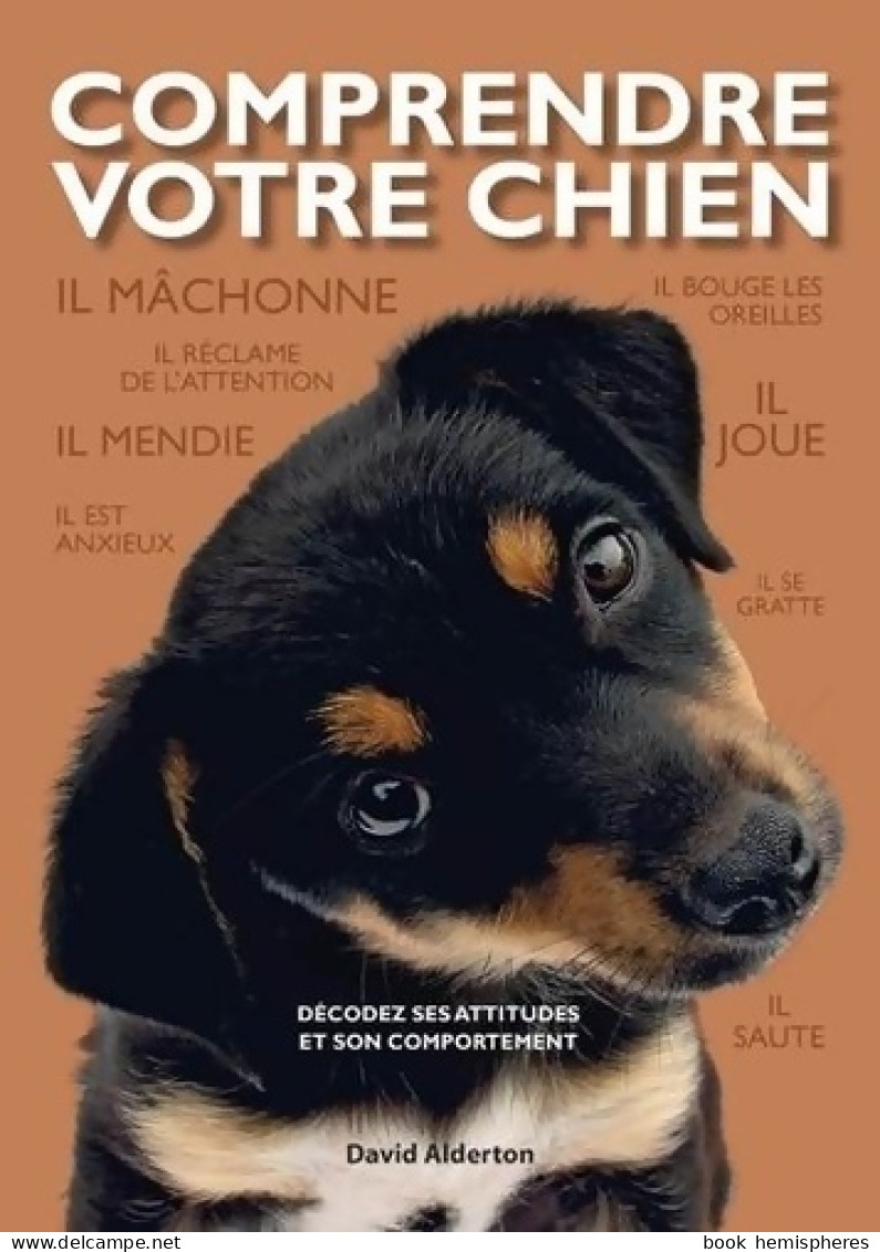 Comprendre Votre Chien (2011) De David Alderton - Animali