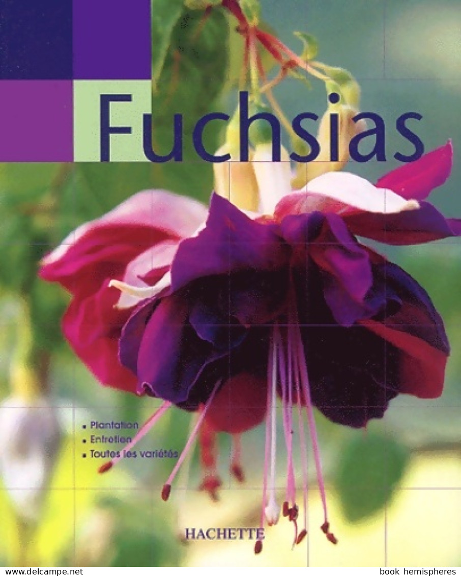 Main Verte : Fuchsias (2003) De David Clark - Jardinage