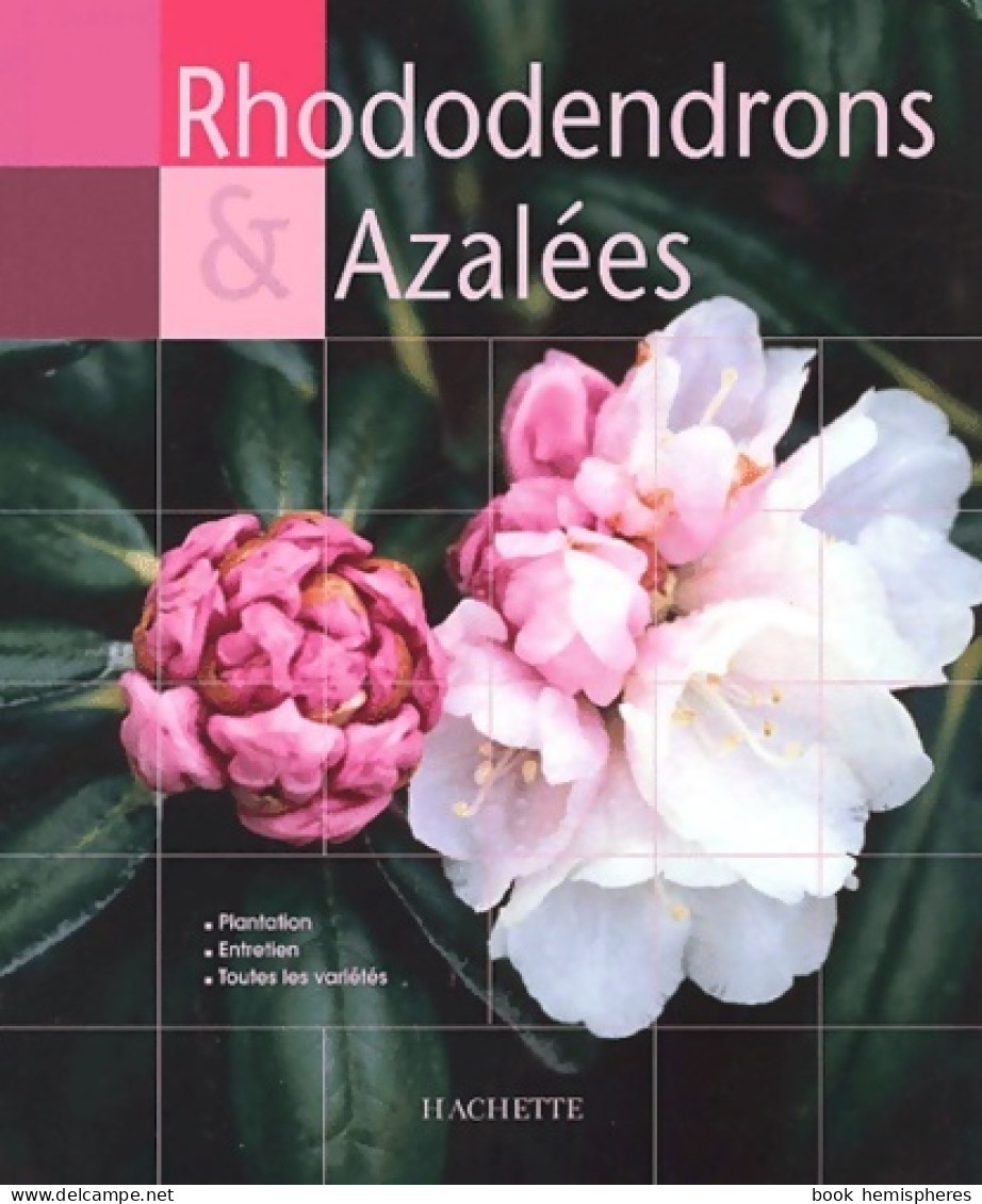 Rhododendrons Et Azalées (2002) De Kenneth Cox - Jardinage