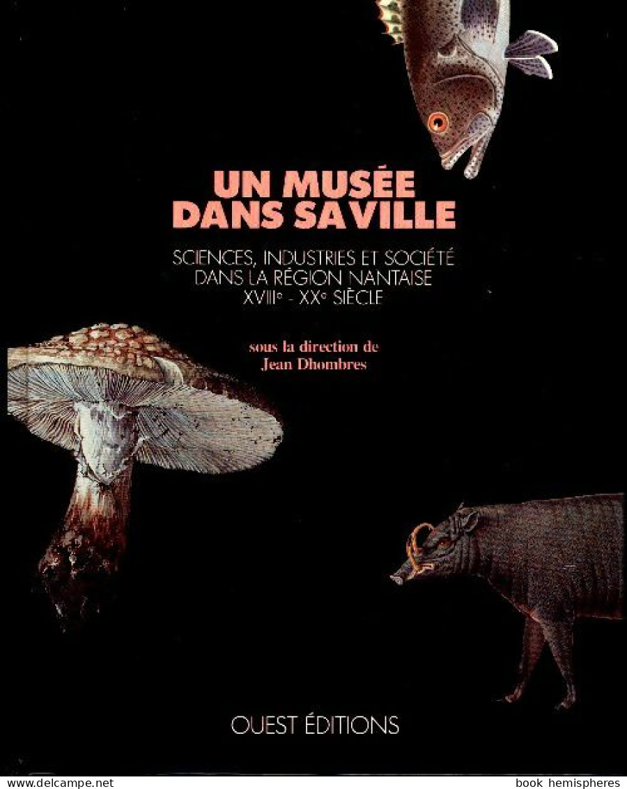 Un Musée Dans Sa Ville (1990) De Jean Dhombres - Histoire