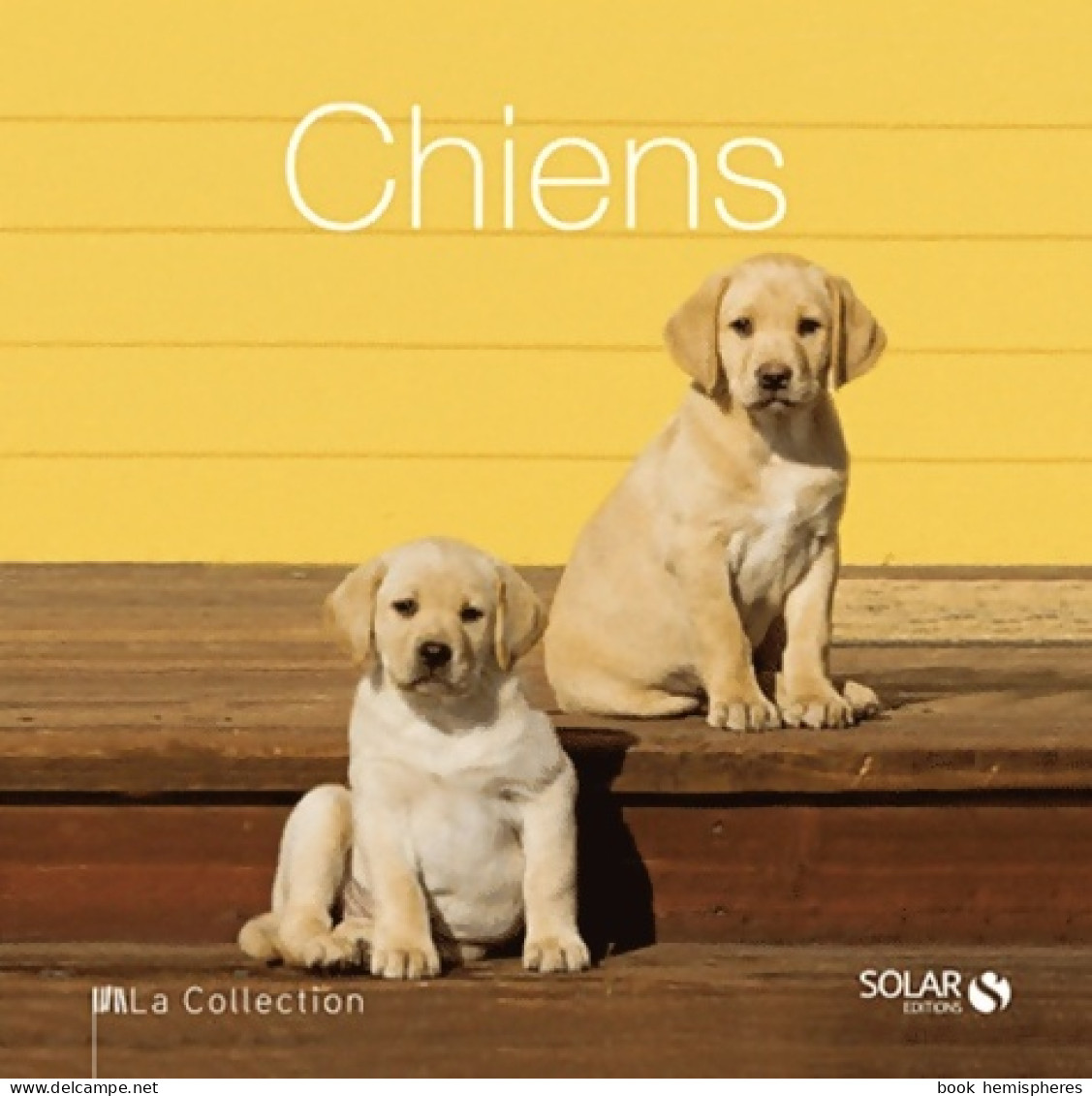 Chiens - La Collection (2012) De Collectif - Animales