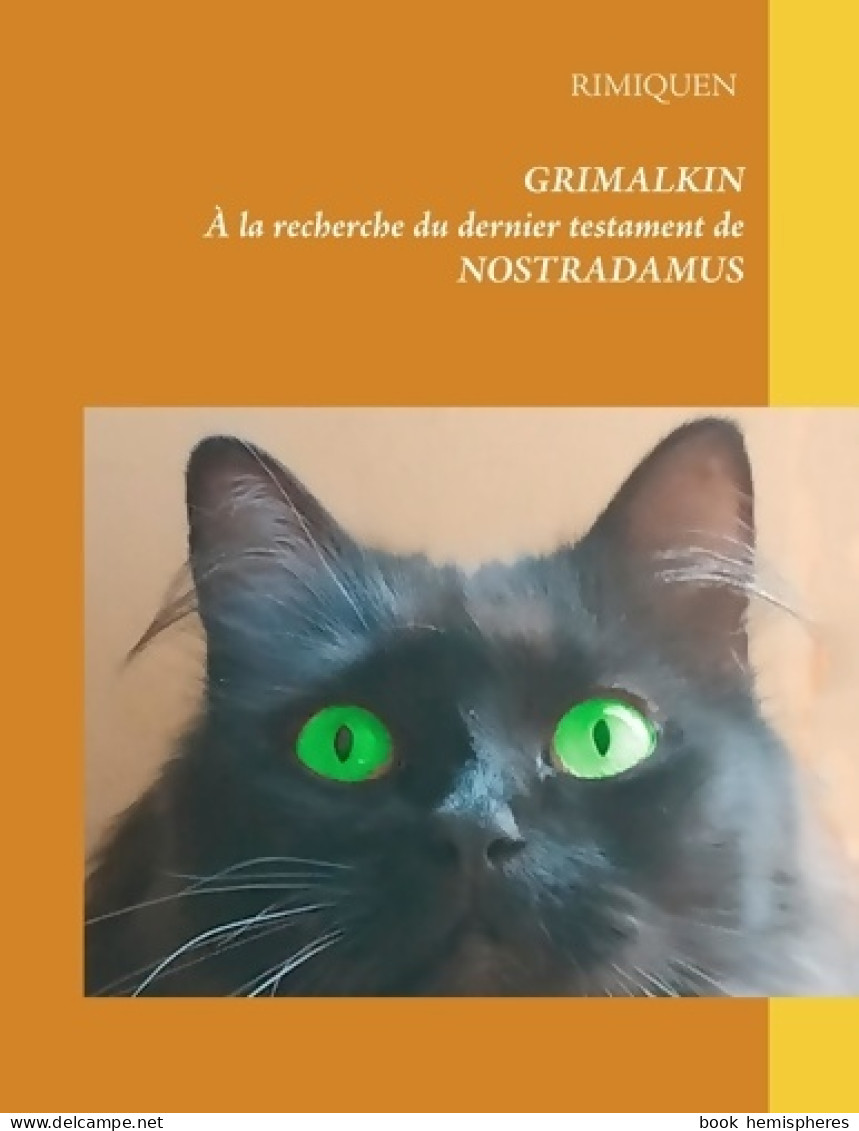 Grimalkin : À La Recherche Du Dernier Testament De Nostradamus (2019) De Rimiquen - Andere & Zonder Classificatie