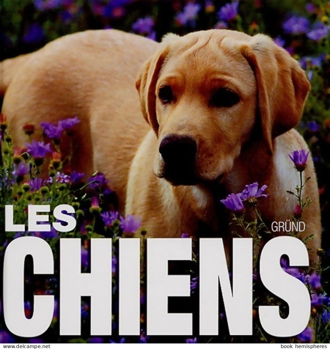 Les Chiens (2006) De Vito Bruno - Animaux