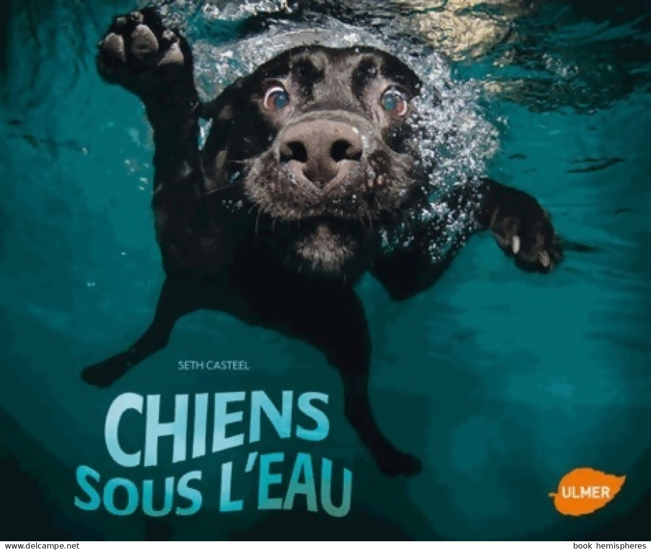 Chiens Sous L'eau (2013) De Seth Casteel - Tiere