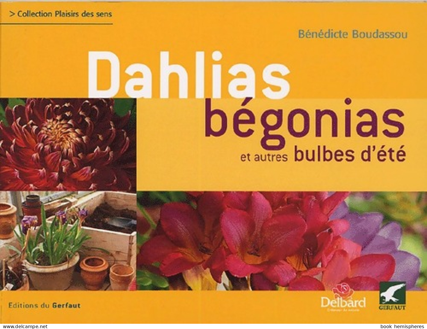 Dahlias, Bégonias Et Autres Bulbes D'été (2005) De Bénédicte Boudassou - Garden