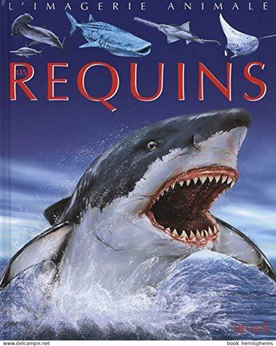 Les Requins (2006) De Cathy Franco - Tiere
