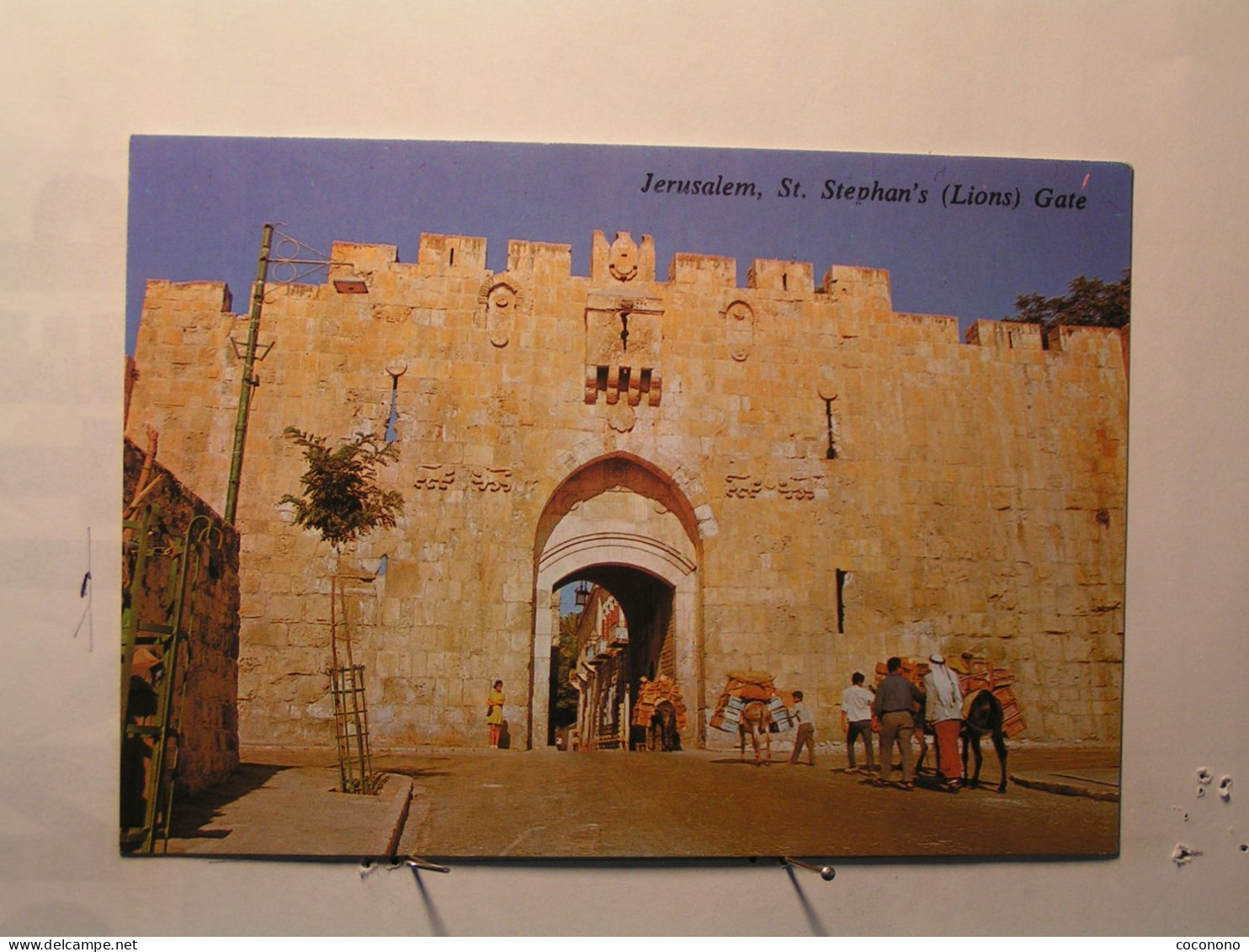 Jerusalem - Porte De Saint Etienne - Israël