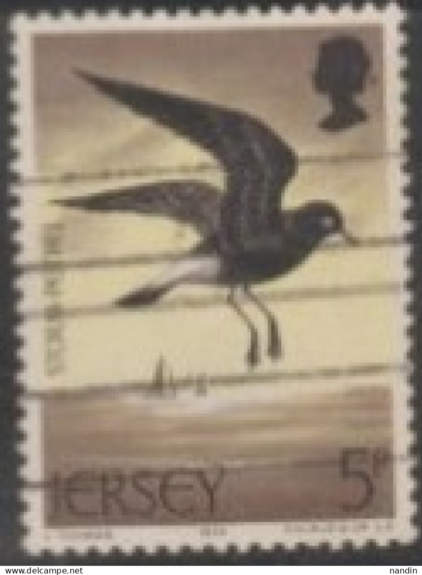 1975 Jersey USED STAMP ON BIRDS/ Hydrobates Pelagicus-Sea Bird - Gabbiani