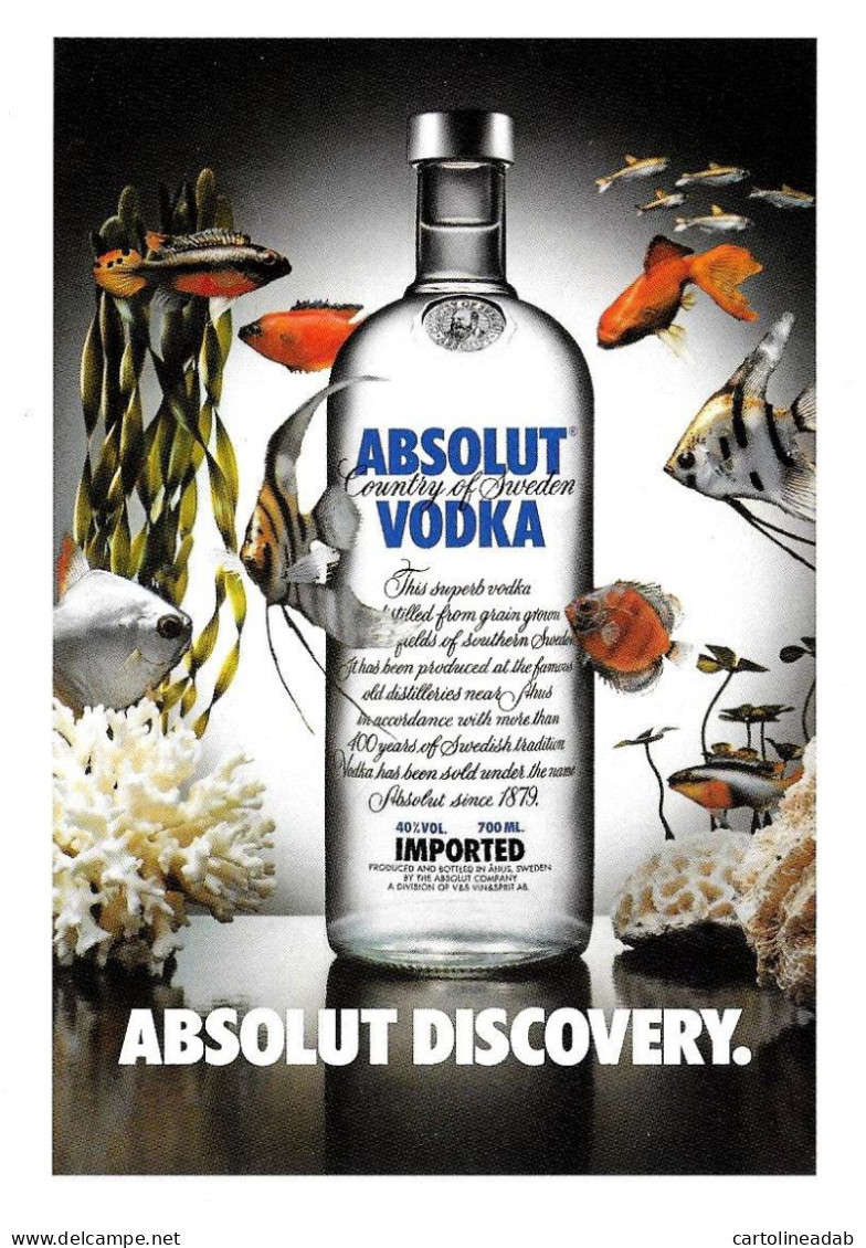 [MD5036] CPM - ABSOLUT DISCOVERY - ABSOLUTE VODKA COLLECTION 305 - PROMOCARD 5372 - PERFETTA - Non Viaggiata - Advertising