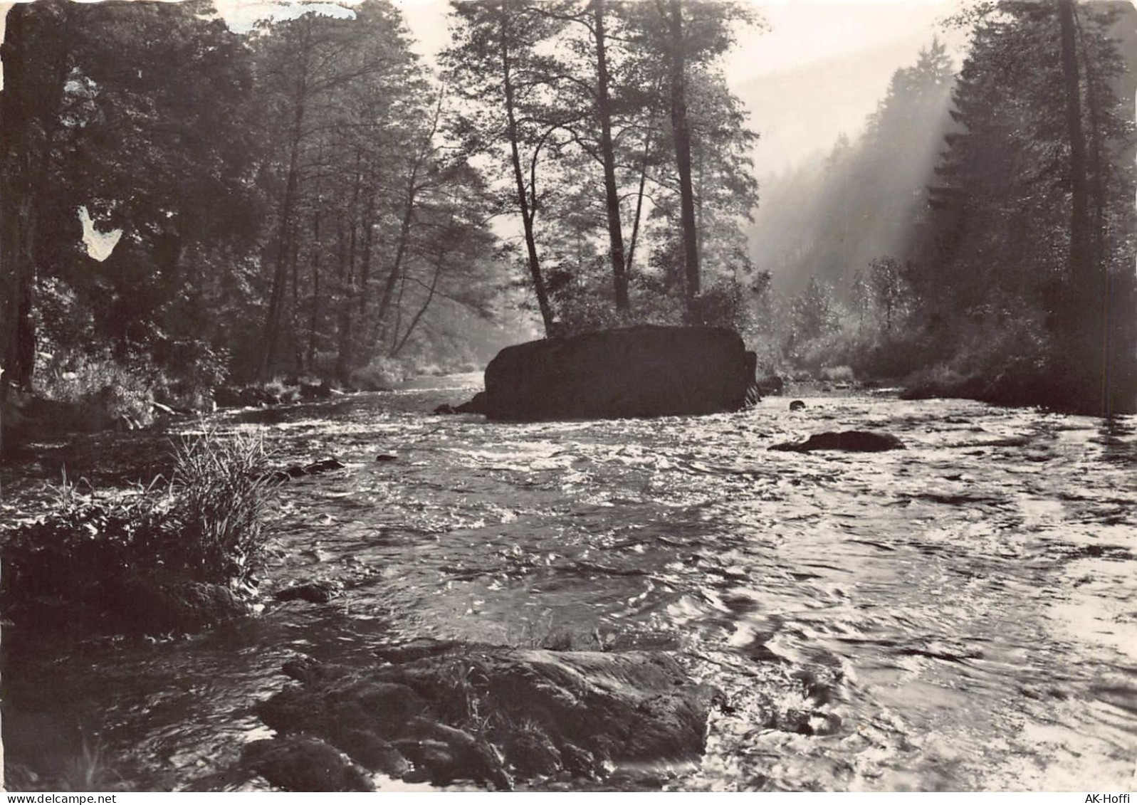 Morgenstimmung Im Schwarzatal - Saalfeld