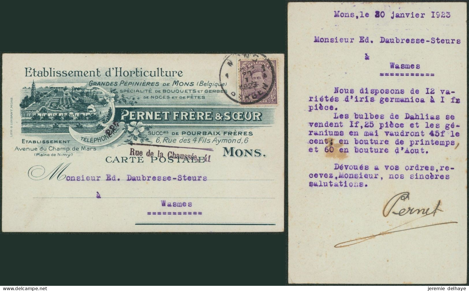 Albert I - N°139 Sur Imprimé (établissement D'horticulture) Expédié De Mons > Wasmes - 1915-1920 Albert I