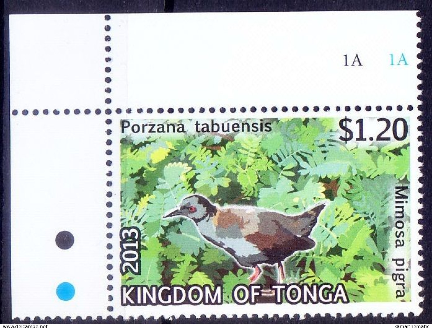 Spotless Crake , Birds, Tonga 2013 MNH Lt Up Corner - Tauben & Flughühner