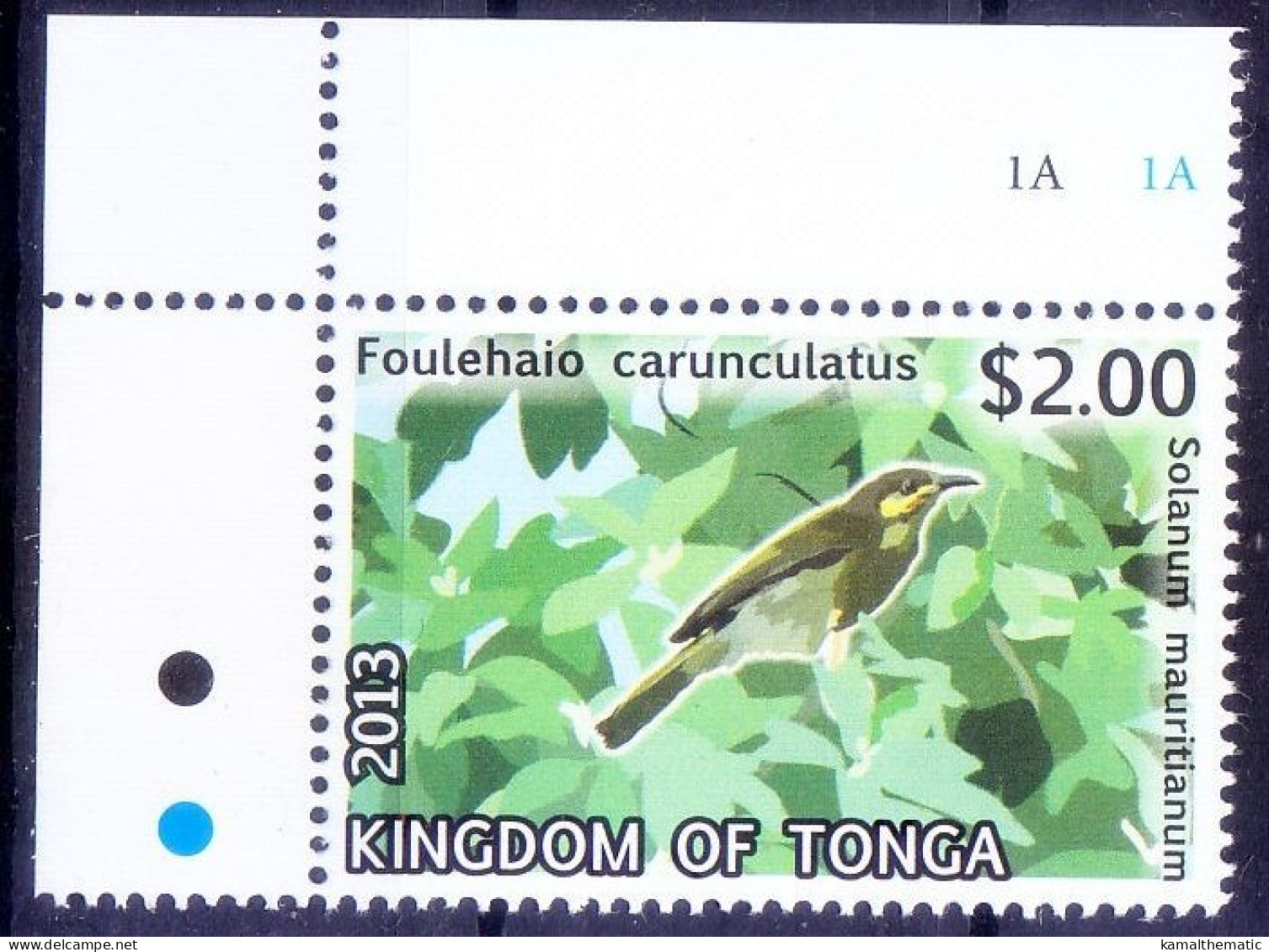 Polynesian Wattled Honeyeater, Birds, Tonga 2013 MNH Lt Up Corner - Piccioni & Colombe