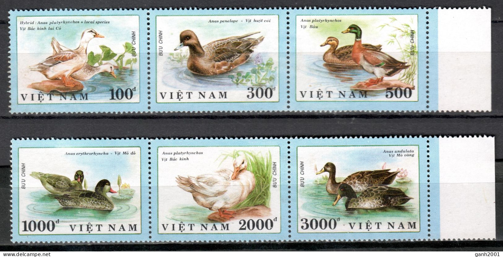 Vietnam 1990 / Birds MNH Vögel Aves Oiseaux Ucelli / Cu22038  27-8 - Sonstige & Ohne Zuordnung