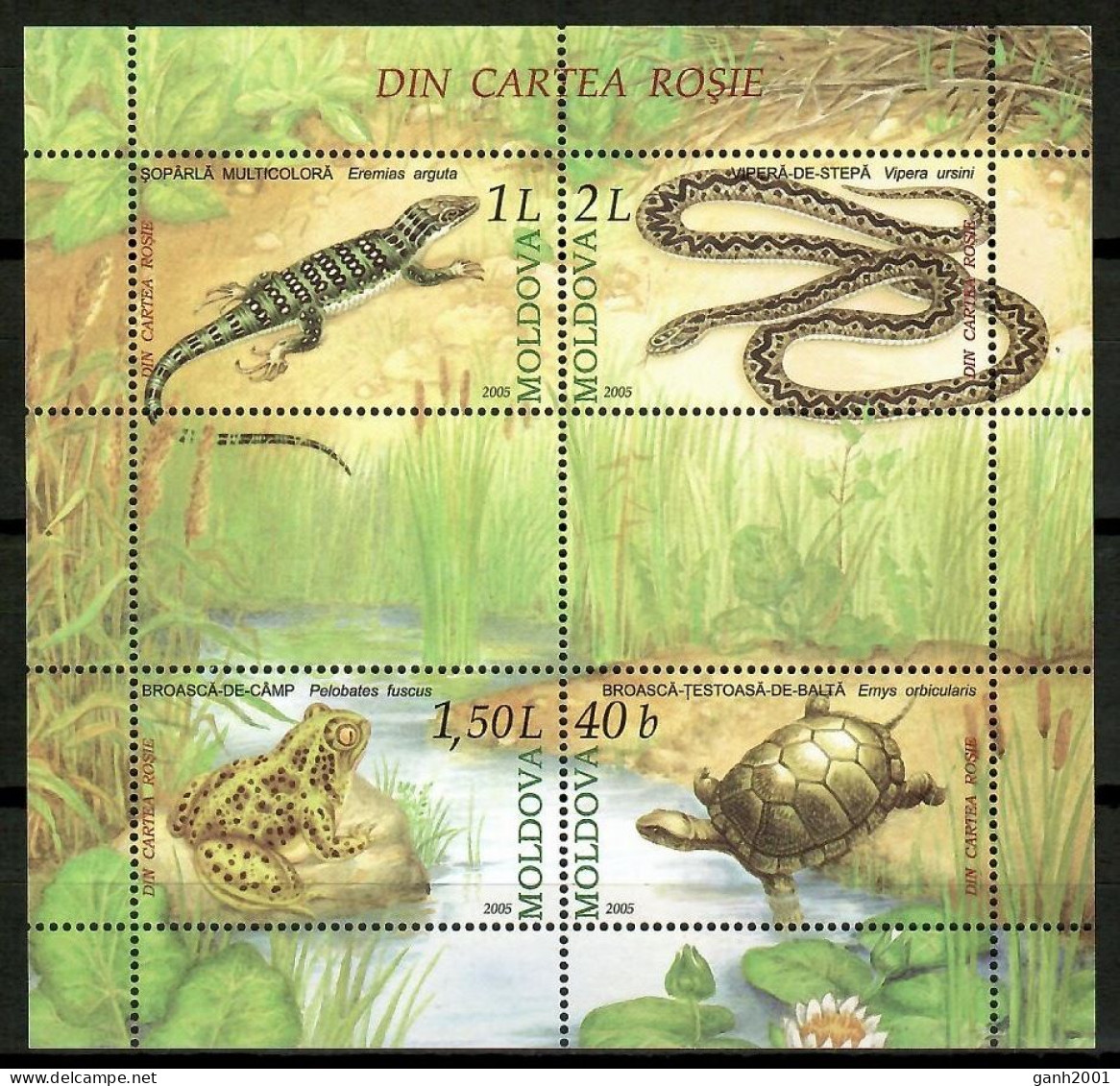 Moldova 2005 Moldavia / Reptiles Turtles Snakes Frog MNH Tortuga Serpiente Rana Schildkröten Tortues / Cu13609  18-41 - Tortugas