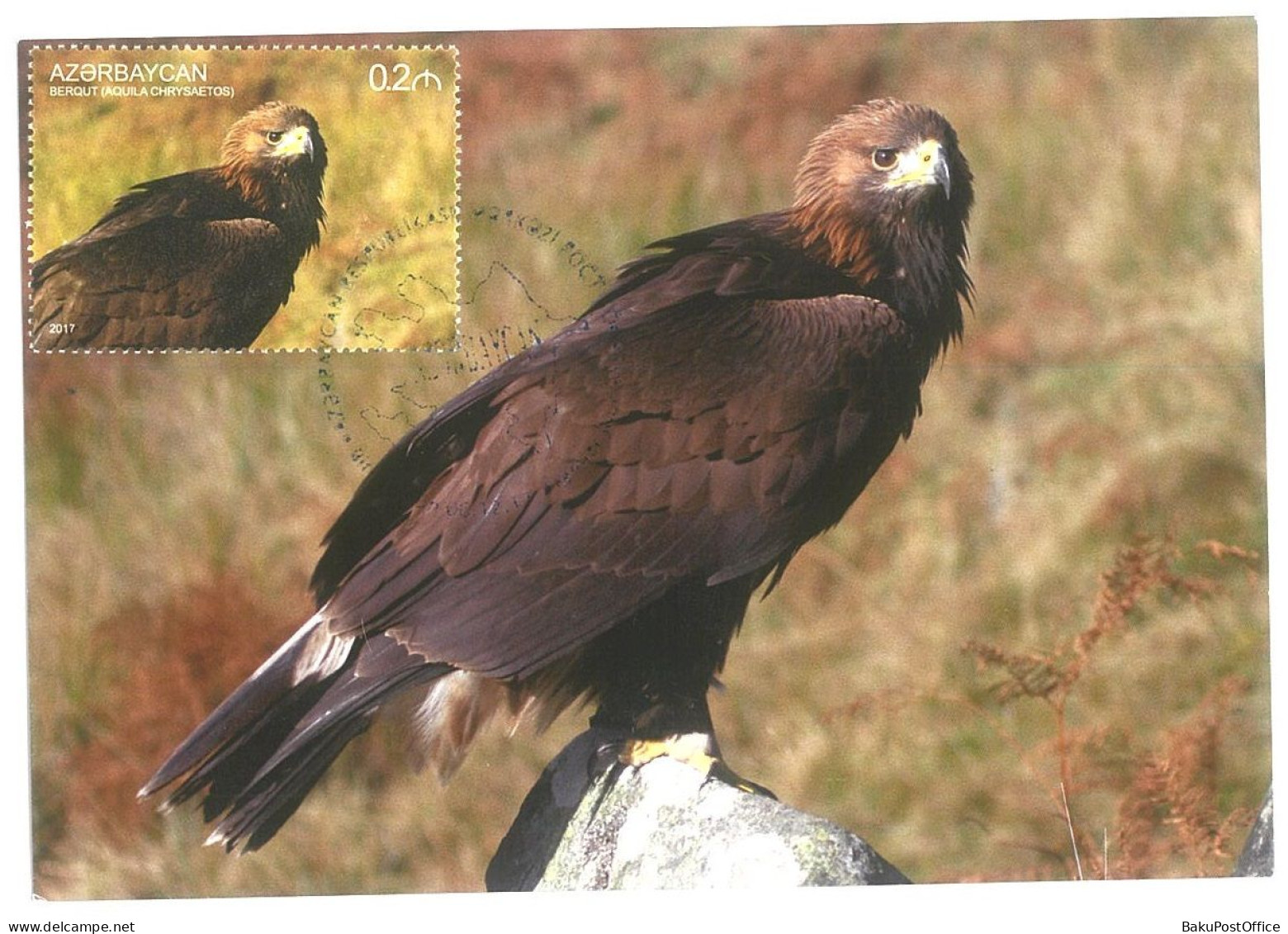 Azerbaijan 2017 Maximum Card Nature Golden Eagle - Aserbaidschan