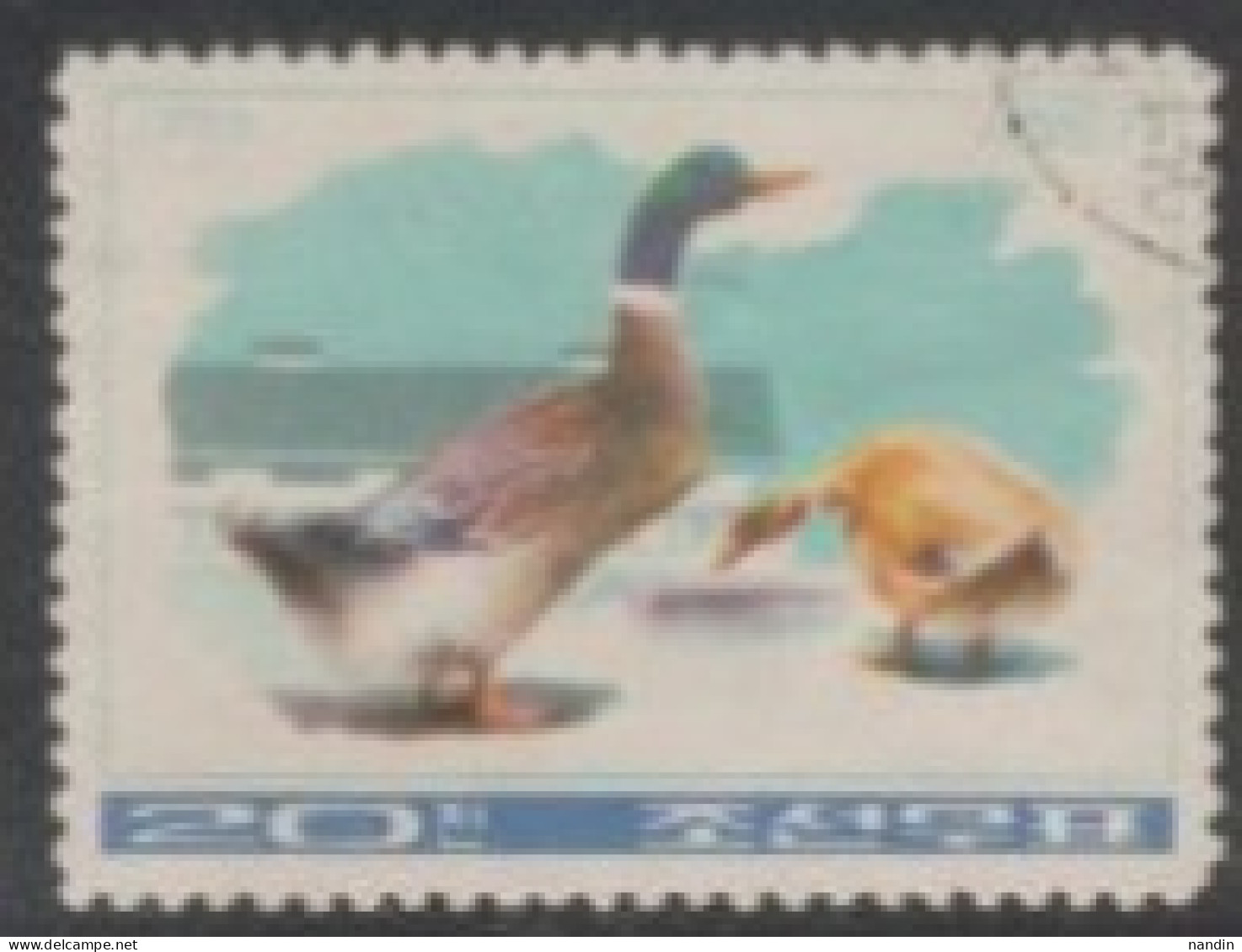 1976 LNORTH KOREA USD STAMP ON BIRDS/Ducks And Geese - Songbirds & Tree Dwellers