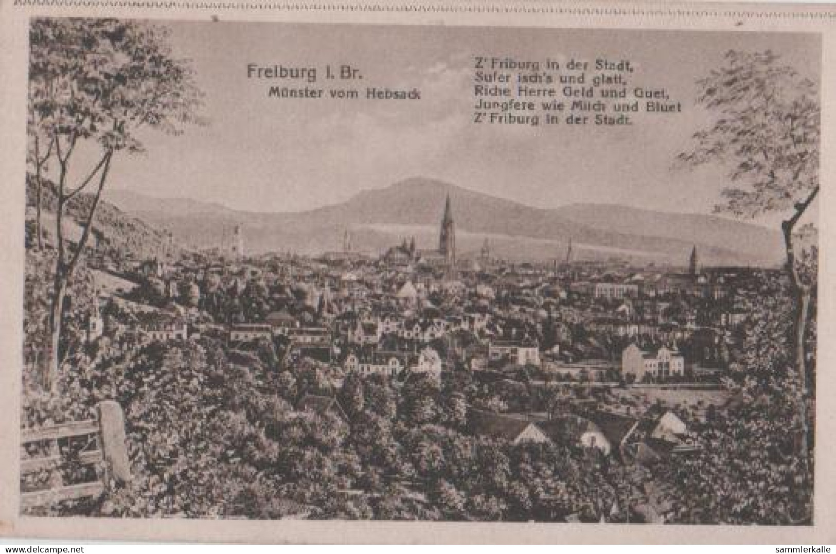 21996 - Freiburg - Münster Vom Hebsack - Ca. 1935 - Freiburg I. Br.