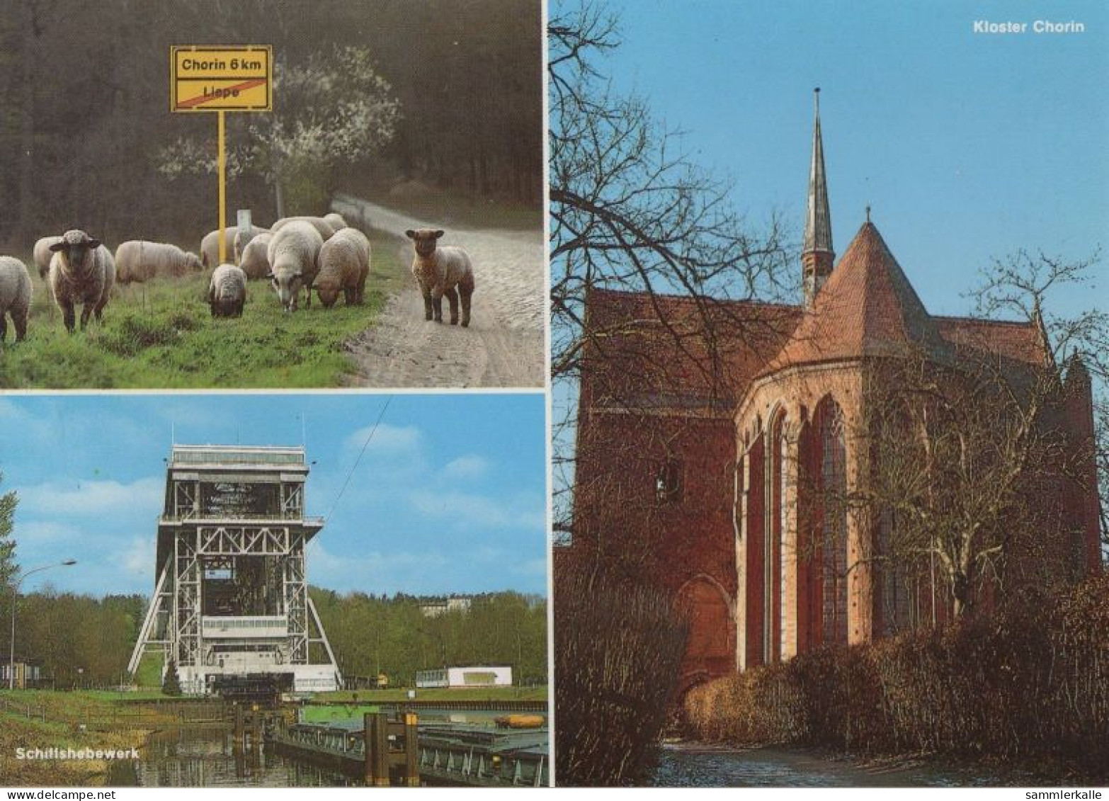 121545 - Chorin - Kloster - Chorin