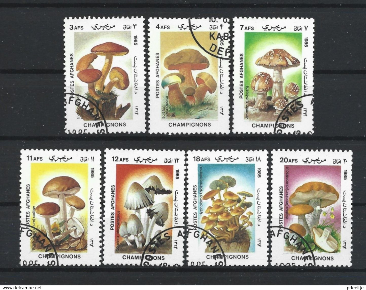 Afghanistan 1985 Mushrooms Y.T. 1276/1282 (0) - Afganistán