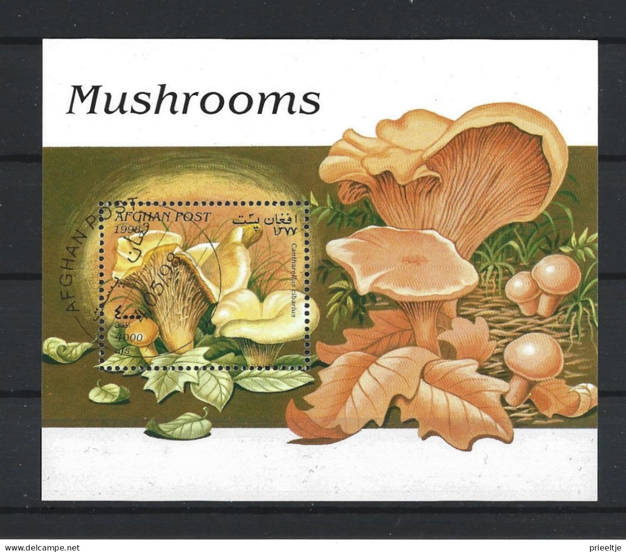 Afghanistan 1998 Mushrooms S/S BF  (0) - Afghanistan