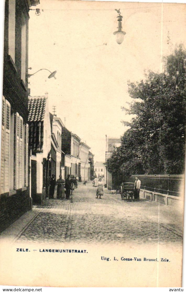 ZELE / LANGE MUNTSTRAAT - Zele