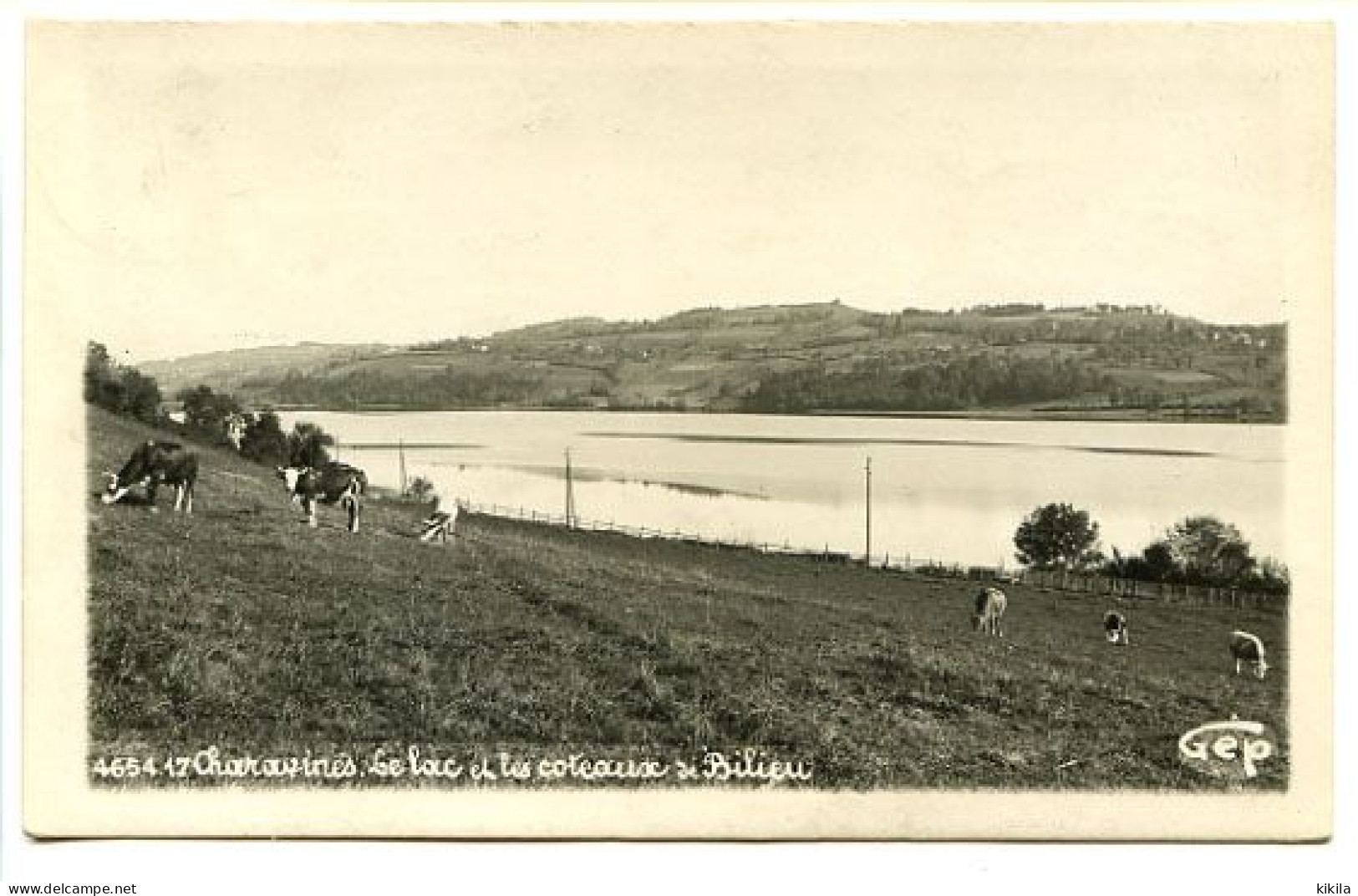 CPSM GEP  9 X 14 Isère  CHARAVINES  Le Lac Et Les Coteaux De Bilieu    Troupeau De Vaches Paissants - Charavines