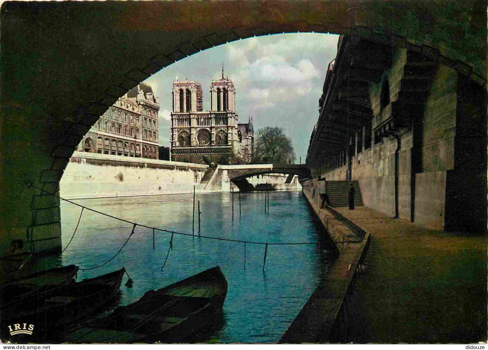 75 - Paris - La Seine Et Ses Bords - Promenade Sous Les Ponts - Carte Dentelée - CPSM Grand Format - Voir Scans Recto-Ve - La Seine Et Ses Bords