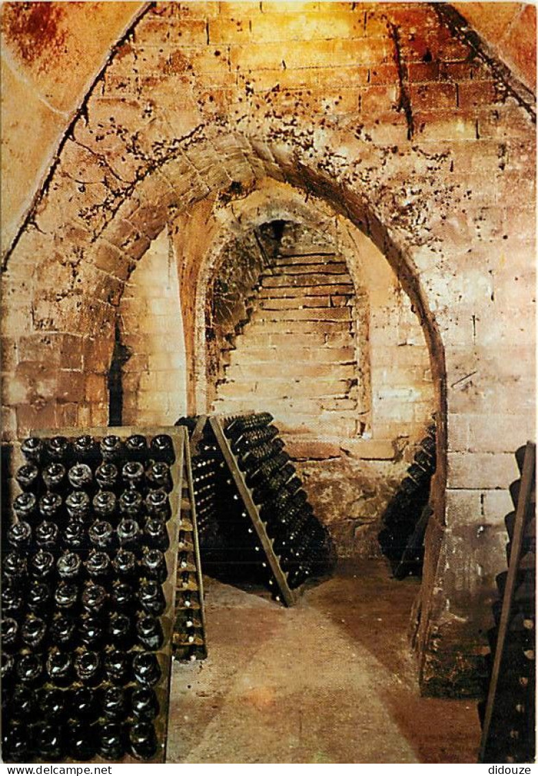 Vignes - Champagne - Caves Du Champagne Taittinger à Reims - Crypte De L'Abbaye De Saint-Nicaise - CPM - Carte Neuve - V - Viñedos