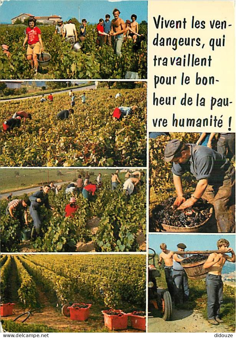 Vignes - Vendanges - Multivues - CPM - Voir Scans Recto-Verso - Wijnbouw