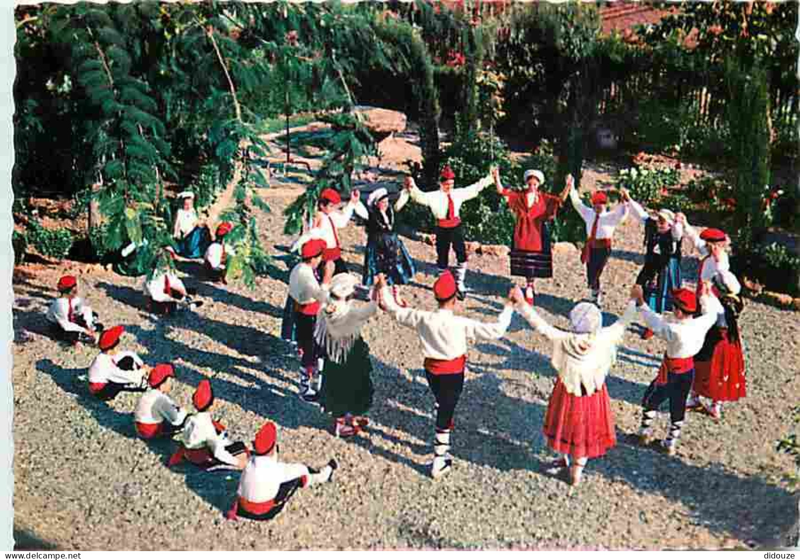 Folklore - Danses - Roussillon - La Sardane Par Le Jeune Groupe Arago - CPM - Voir Scans Recto-Verso - Danses