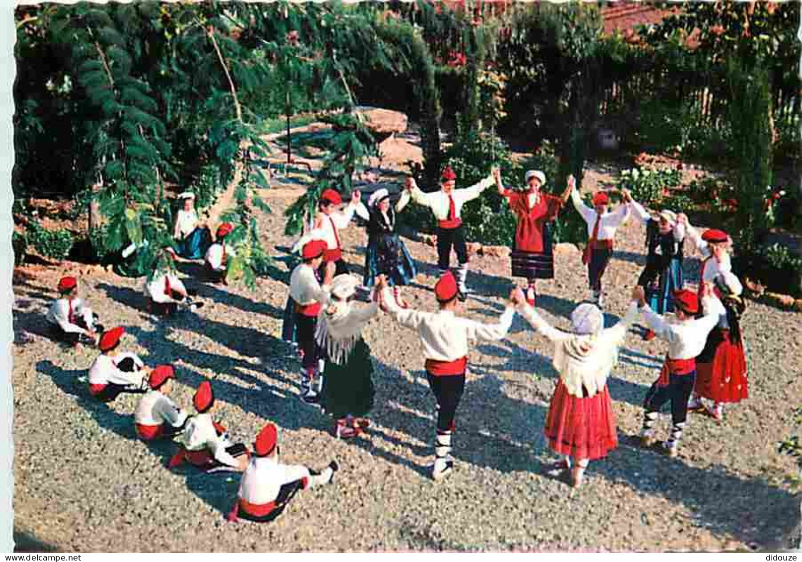 Folklore - Danses - Roussillon - La Sardane Par Le Jeune Groupe Arago - CPM - Voir Scans Recto-Verso - Bailes