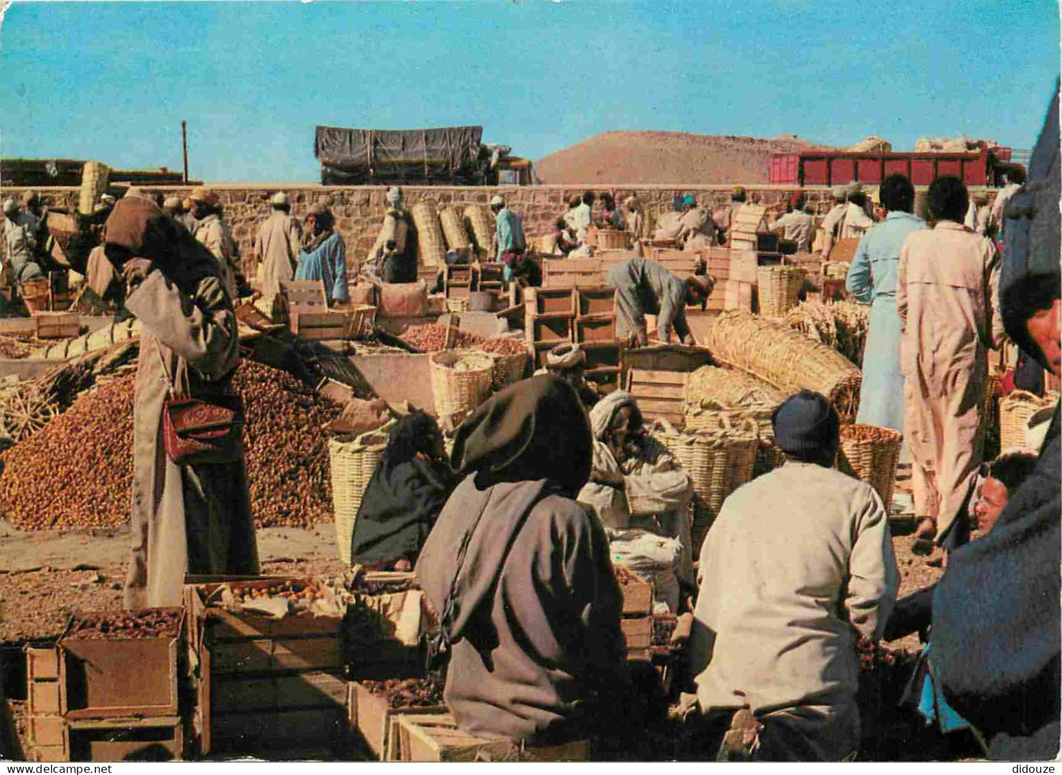 Maroc - Marché Arabe - Folklore - Scènes Et Types - CPM - Carte Neuve - Voir Scans Recto-Verso - Altri & Non Classificati