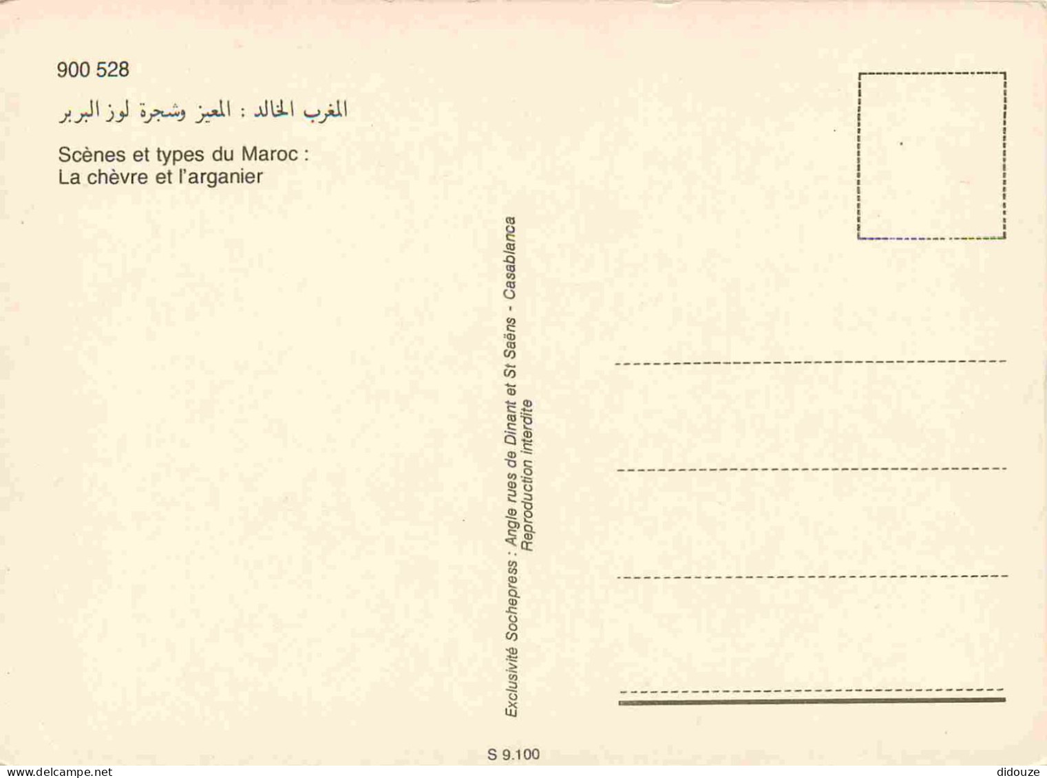 Maroc - La Chèvre Et L'arganier - CPM - Carte Neuve - Voir Scans Recto-Verso - Altri & Non Classificati