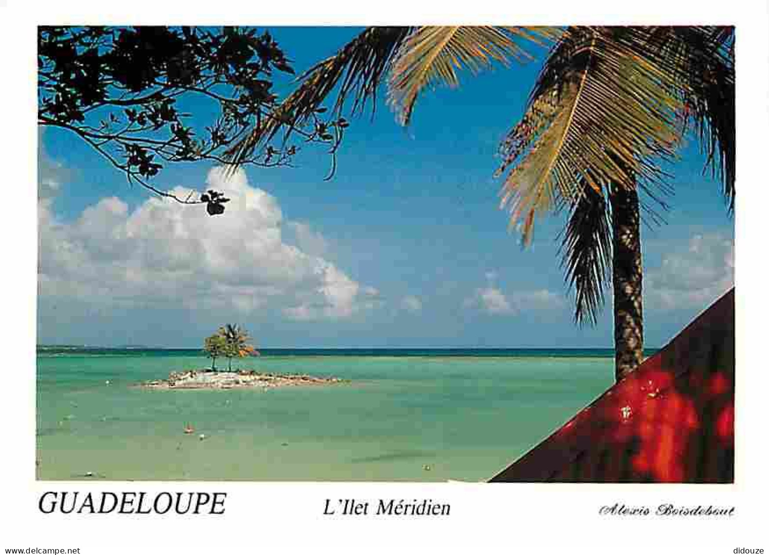 Guadeloupe - Saint François - L'ilet Méridien - CPM - Voir Scans Recto-Verso - Other & Unclassified