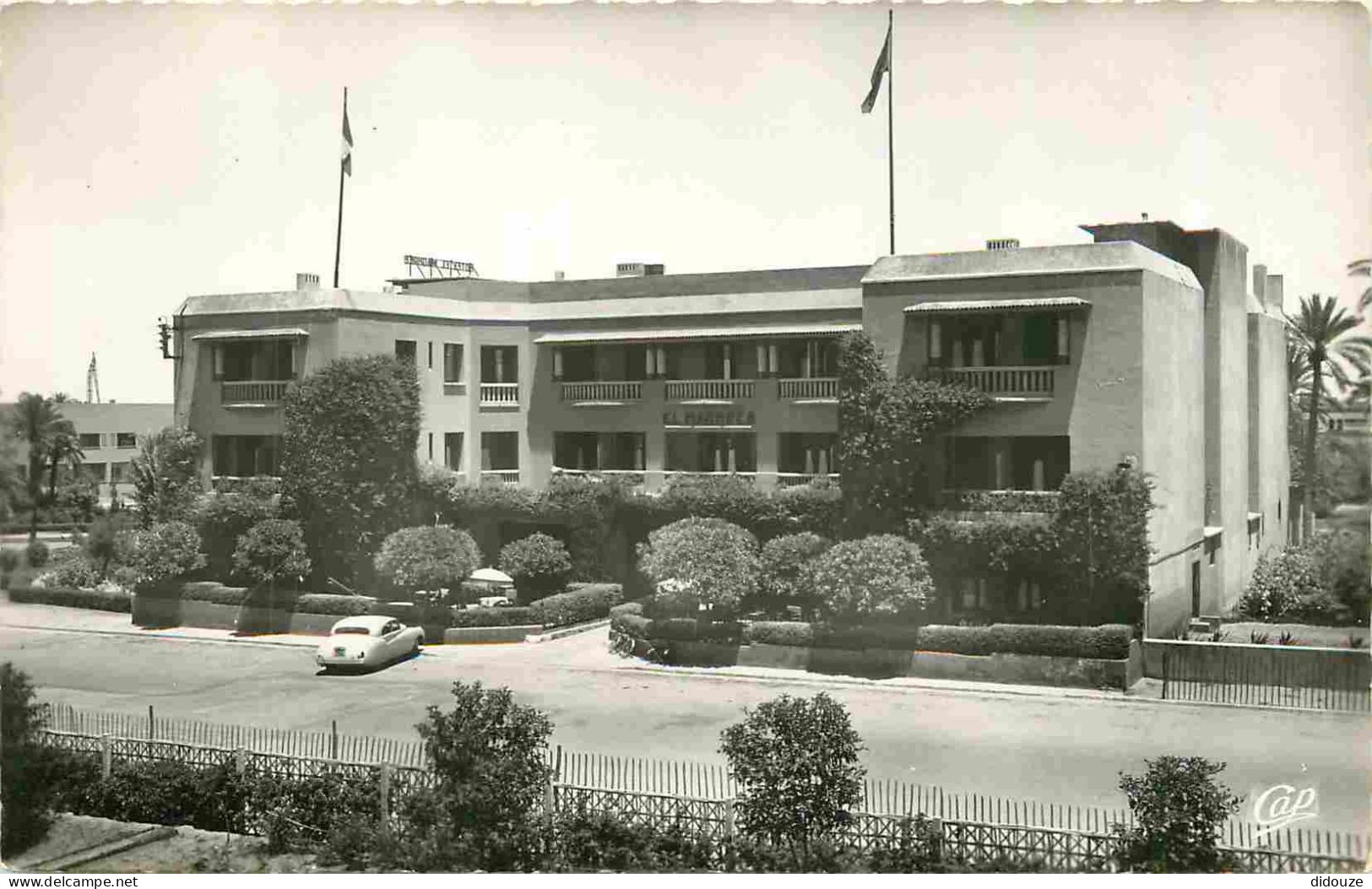 Maroc - Marrakech - Hotel El Maghreb - Automobiles - Mention Photographie Véritable - Carte Dentelée - CPSM Format CPA - - Marrakech