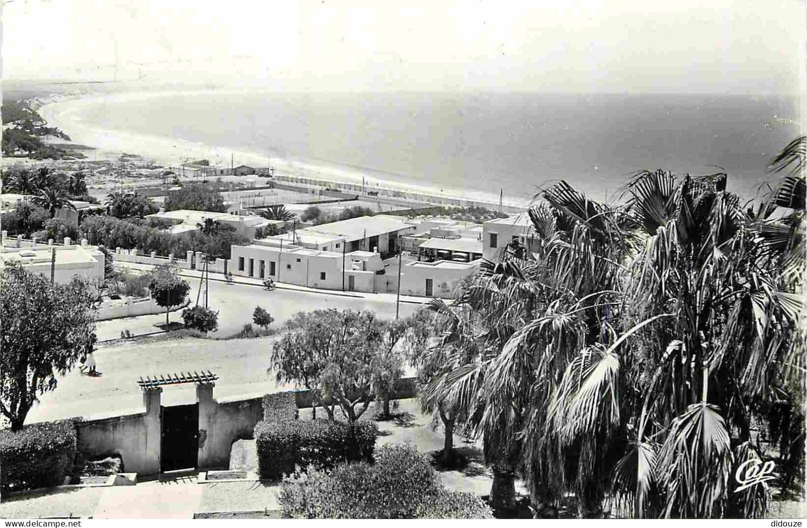 Maroc - Agadir - Vue Sur La Baie Et La Plage - Carte Dentelée - CPSM Format CPA - Voir Scans Recto-Verso - Agadir