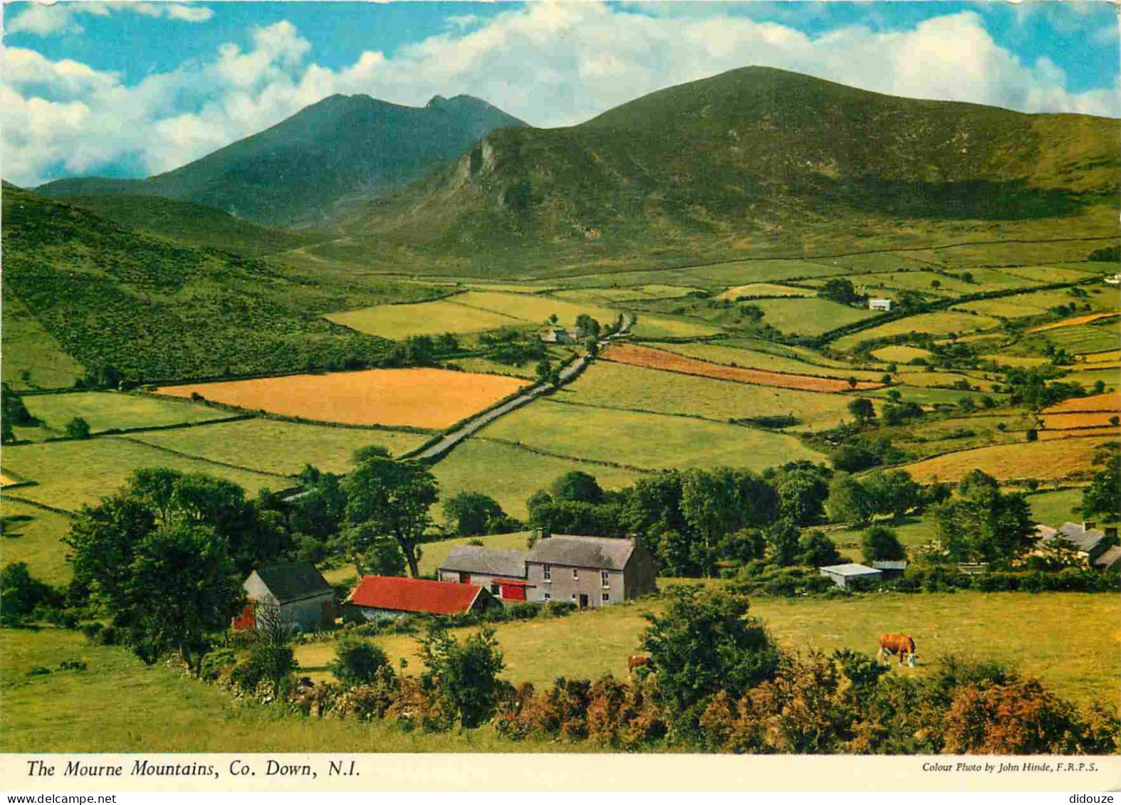 Irlande Du Nord - Down - The Mourne Mountains - CPM - Carte Neuve - Voir Scans Recto-Verso - Down