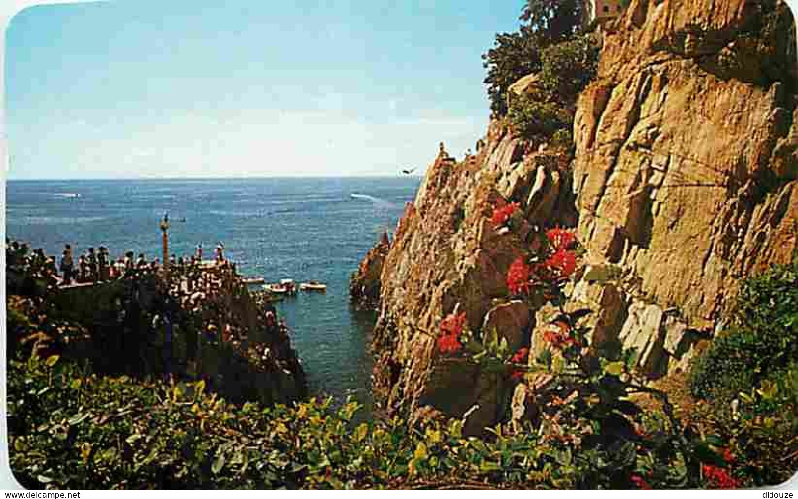 Mexique - La Quebrada En Acapulco - Carte Neuve - CPM - Voir Scans Recto-Verso - Mexique