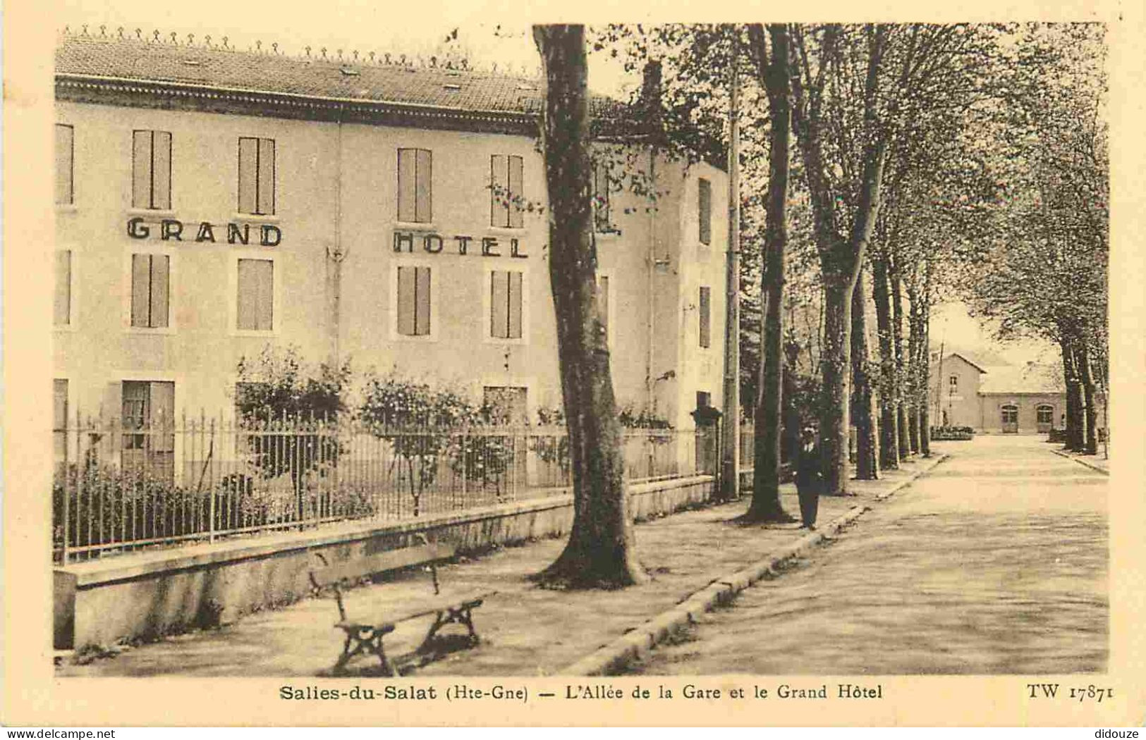 31 - Salies Du Salat - L'Allée De La Gare Et Le Grand Hôtel - CPA - Voir Scans Recto-Verso - Salies-du-Salat