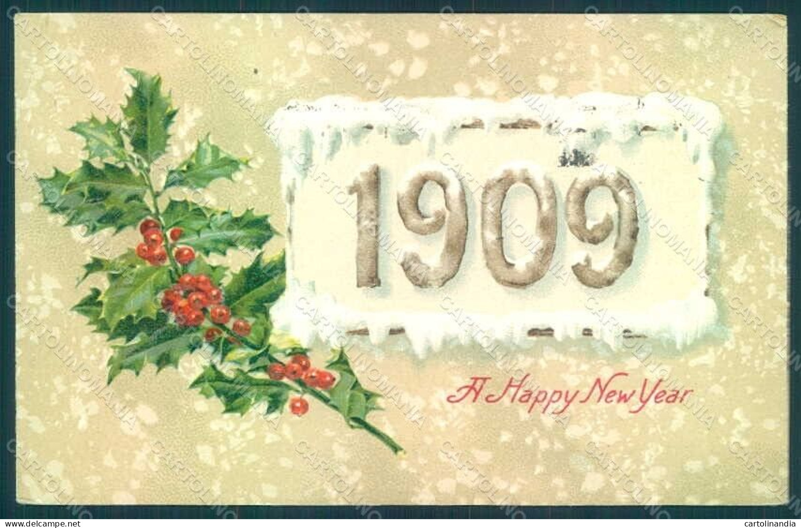 Greetings New Year 1909 Christmas Holly Relief Postcard HR0771 - Altri & Non Classificati