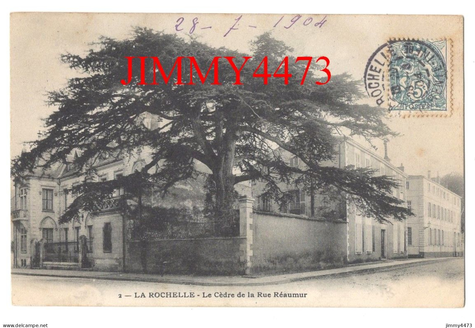 CPA - LA ROCHELLE En 1904 - Le Cèdre De La Rue Réaumur - N° 2 - - Bäume
