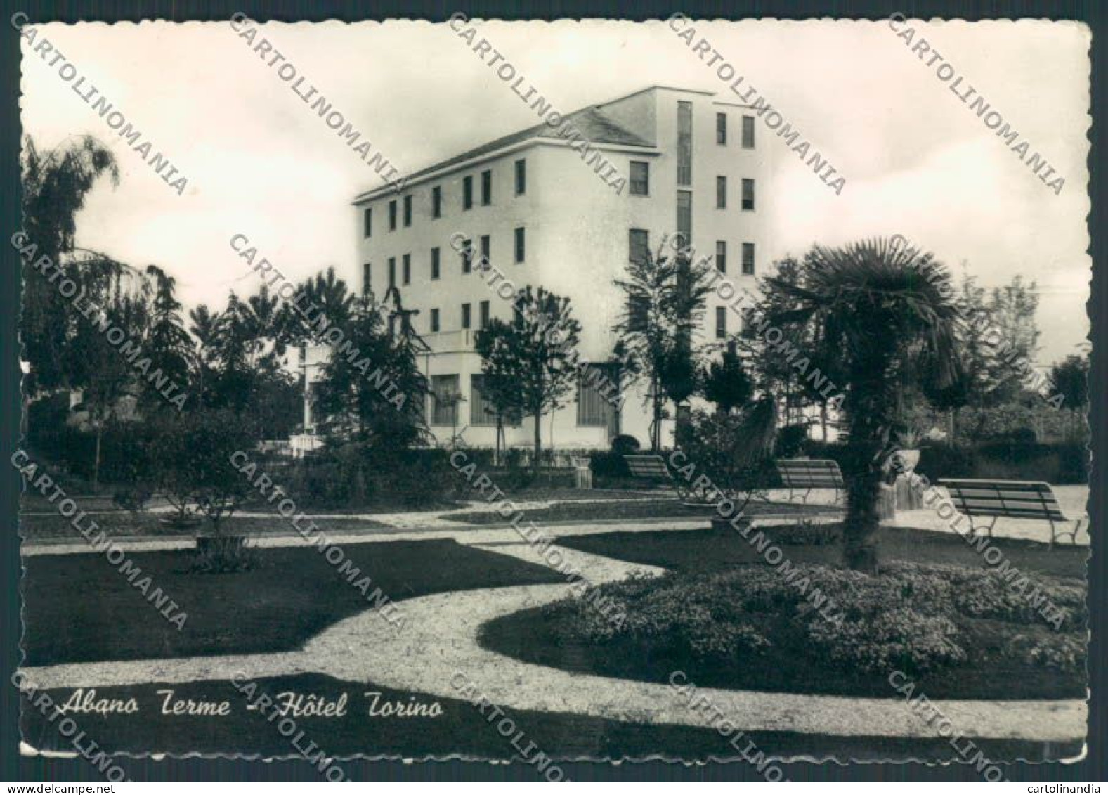 Padova Abano Terme Foto FG Cartolina ZF1697 - Padova (Padua)