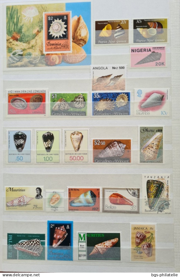 Collection De Timbres Sur Le Thème Des COQUILLAGES. - Collections (sans Albums)