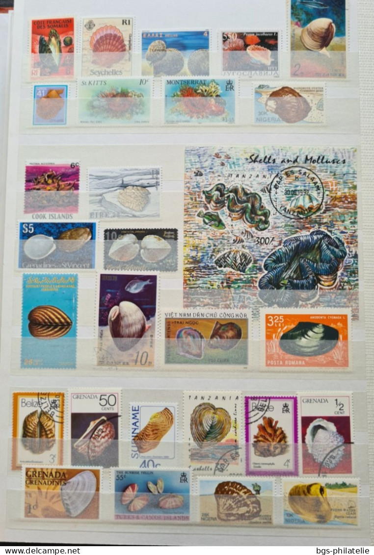 Collection de timbres sur le thème des COQUILLAGES.